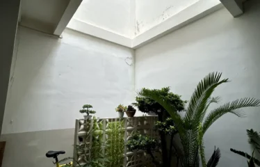 taman di dalam rumah