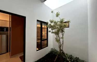 taman dalam rumah