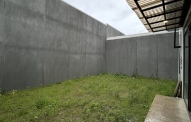 halaman belakang luas